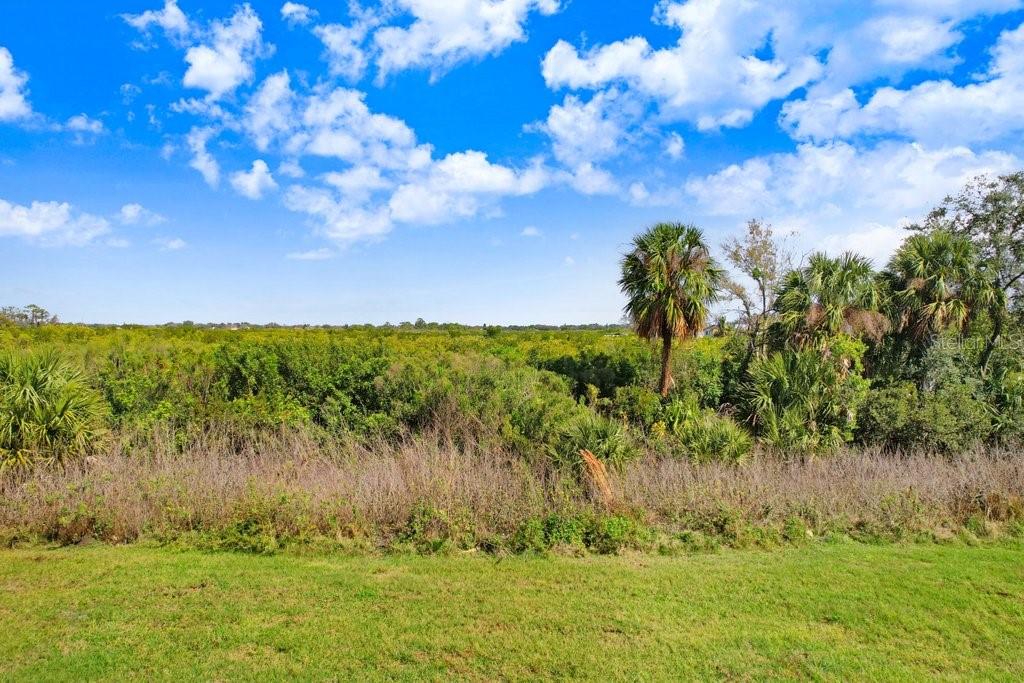 4013 LIVELY CORAL PL — photo 42