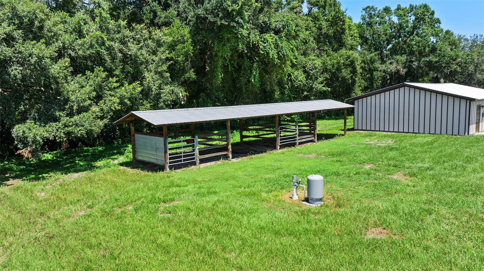13219 NEWGENT RD — photo 10