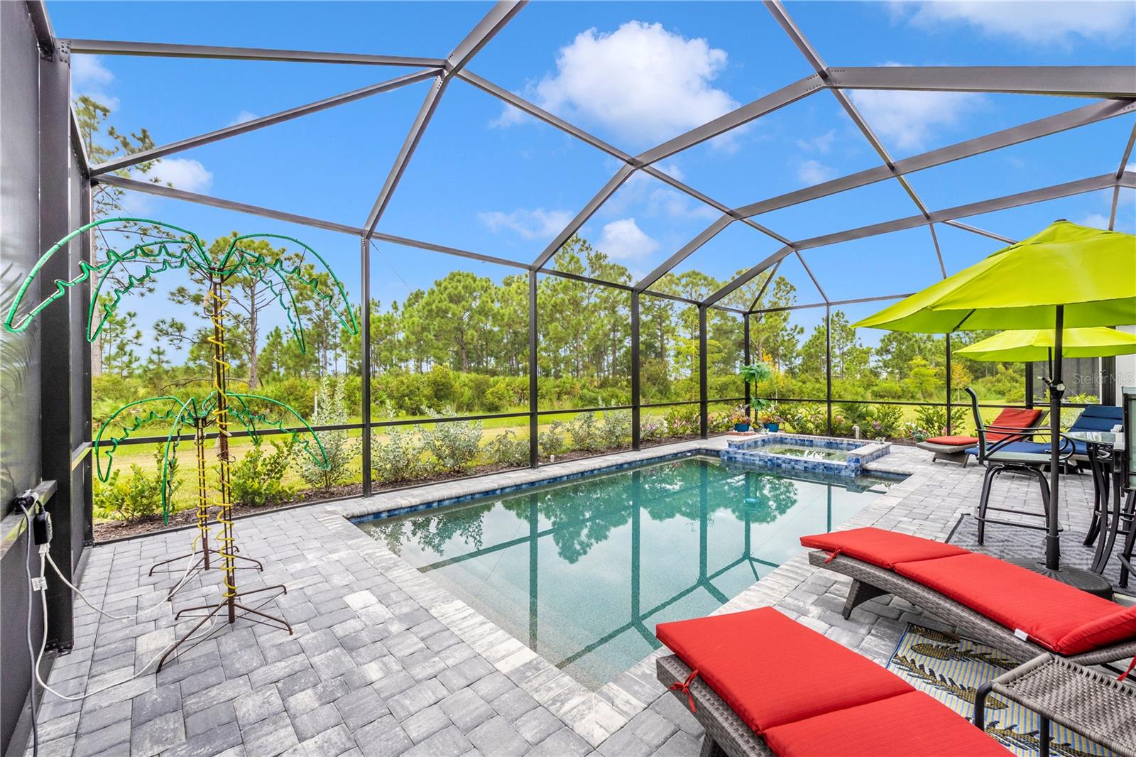 12845 TULUM LOOP — photo 47