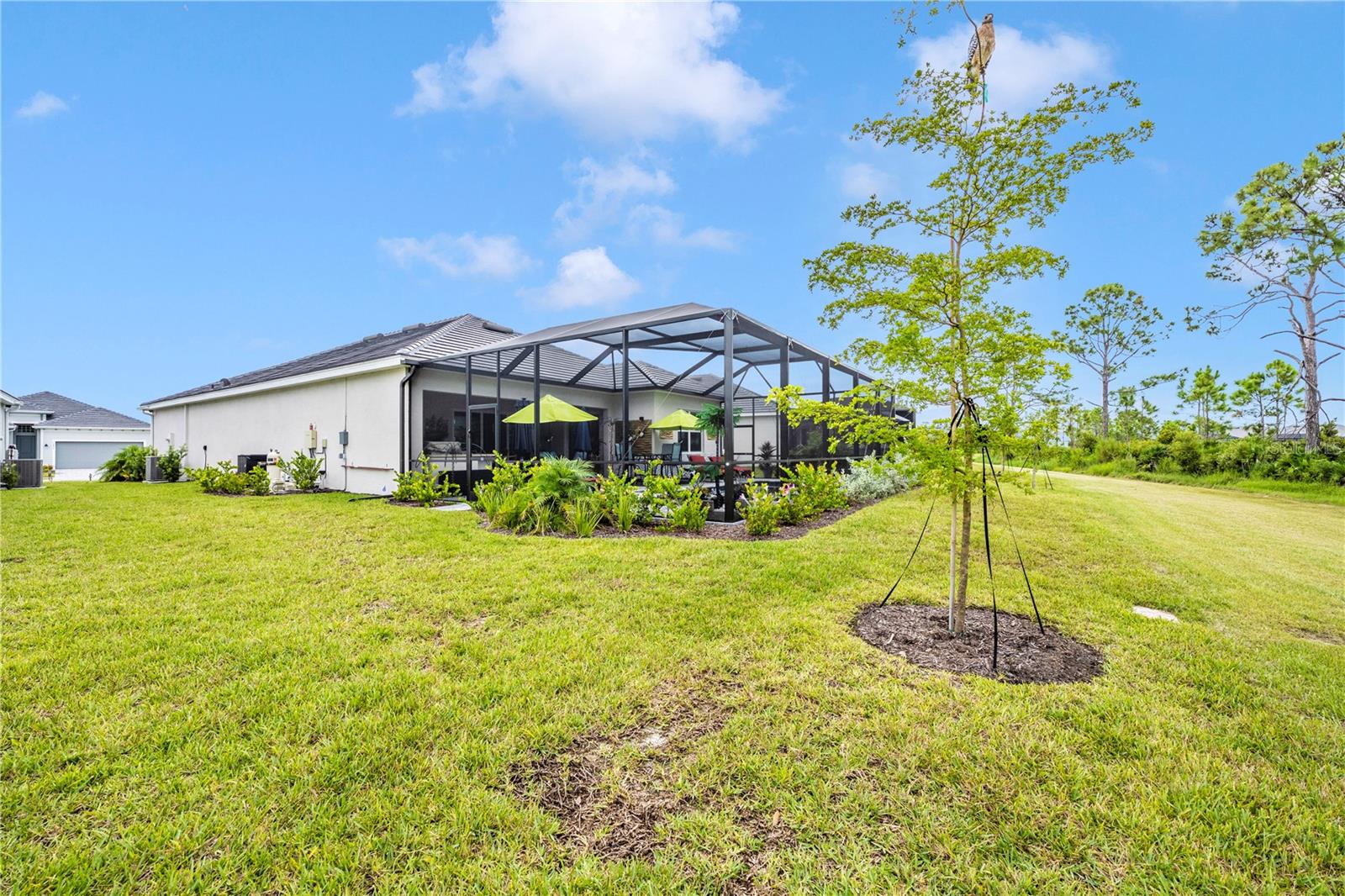 12845 TULUM LOOP — photo 51