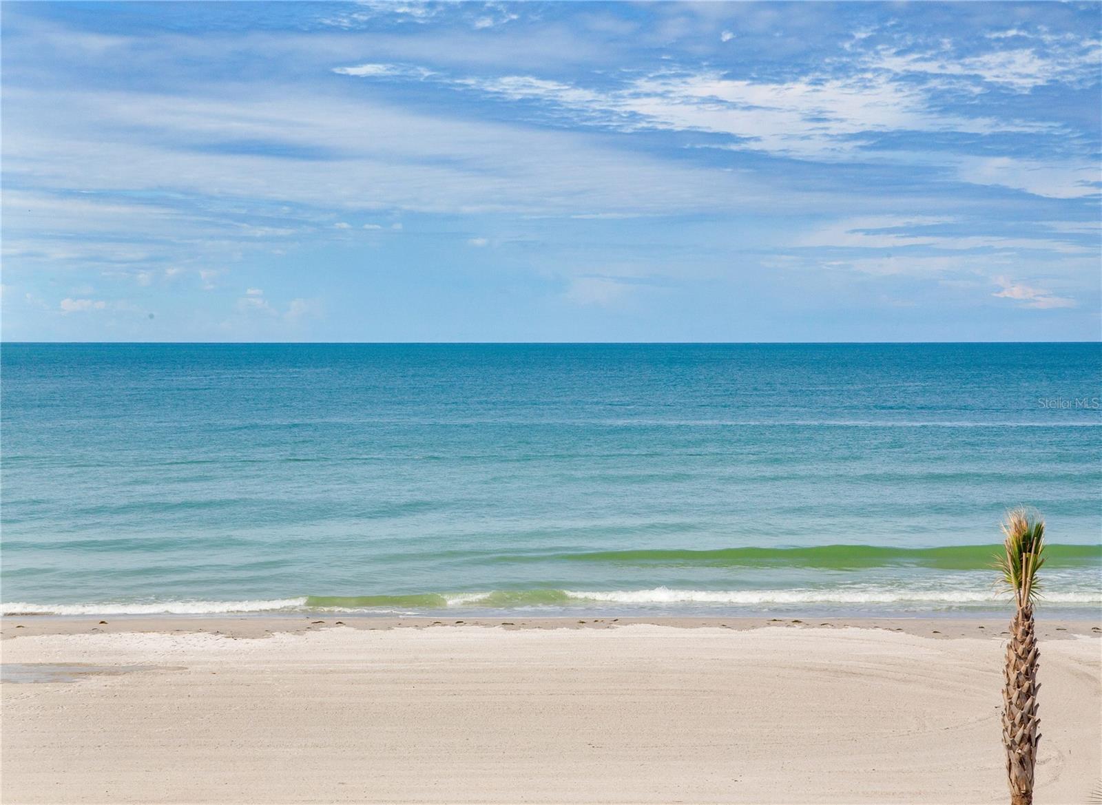 17450 GULF BLVD #206 — photo 4