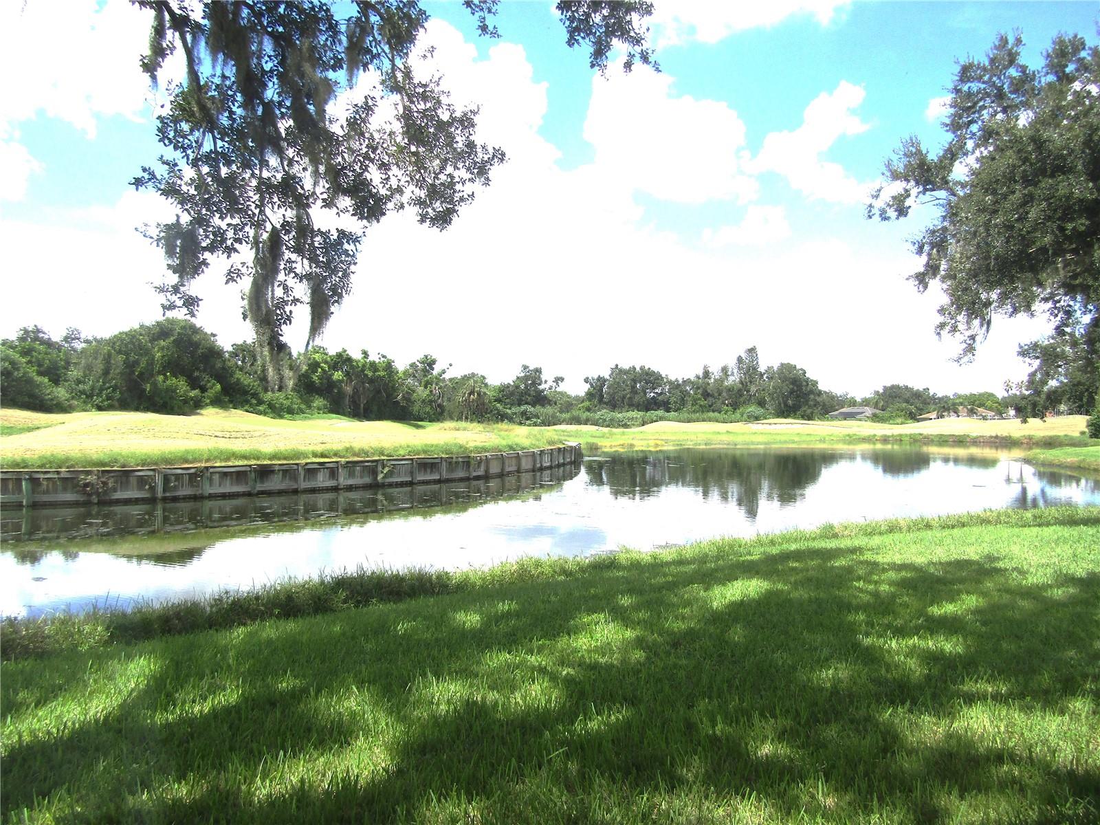 3881 CHATSWORTH GREENE CT #20 — photo 42