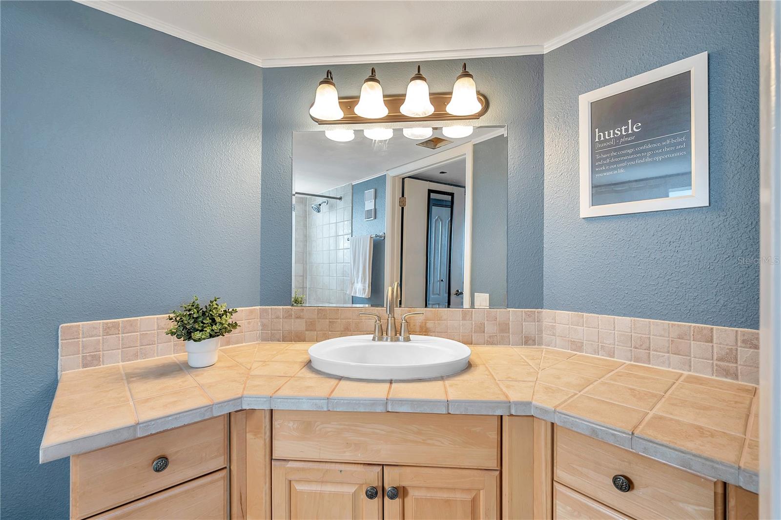 2333 FEATHER SOUND DR #B307 — photo 23