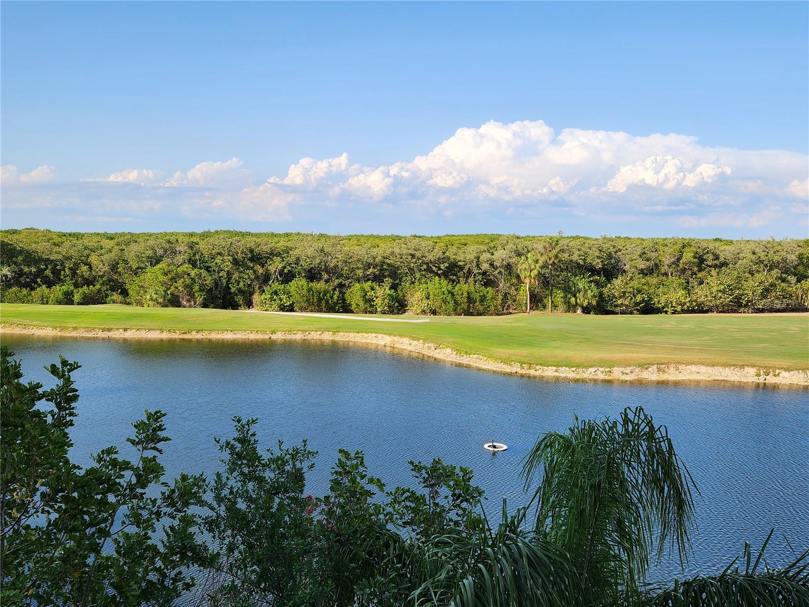 2333 FEATHER SOUND DR #B307 — photo 62