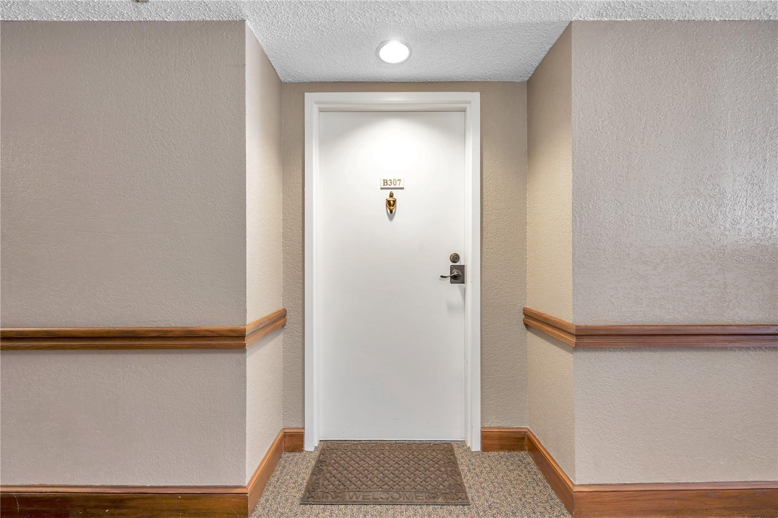 2333 FEATHER SOUND DR #B307 — photo 5
