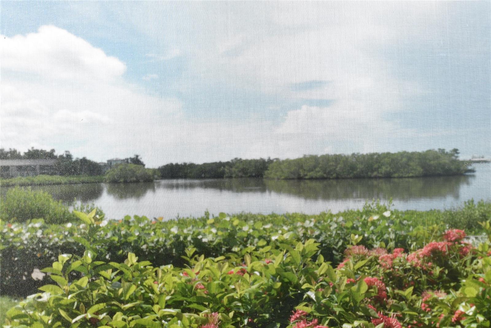 1520 PELICAN POINT DR #BA153 — photo 11