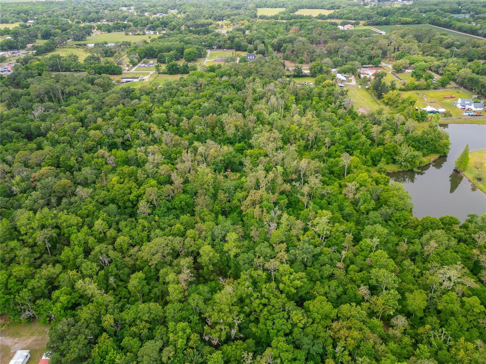 TURKEY CREEK — photo 34