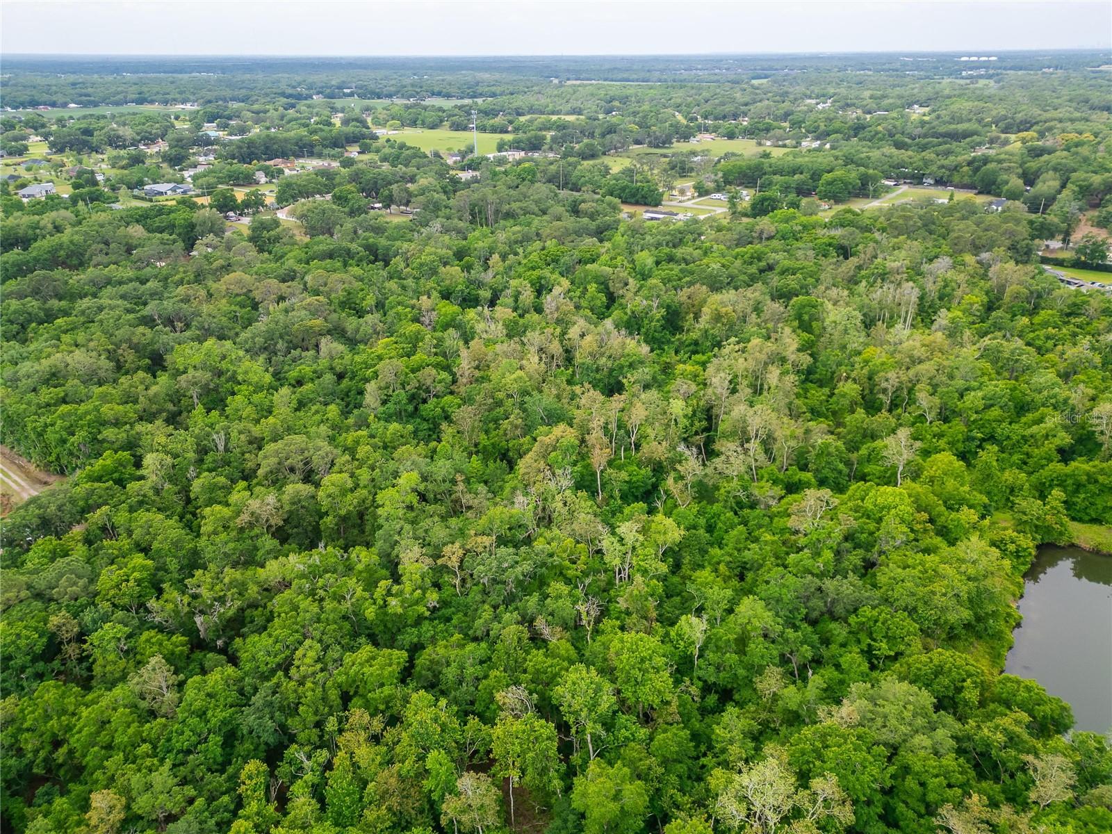 TURKEY CREEK — photo 19