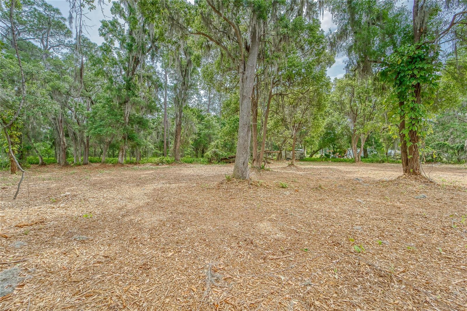 TURKEY CREEK — photo 5