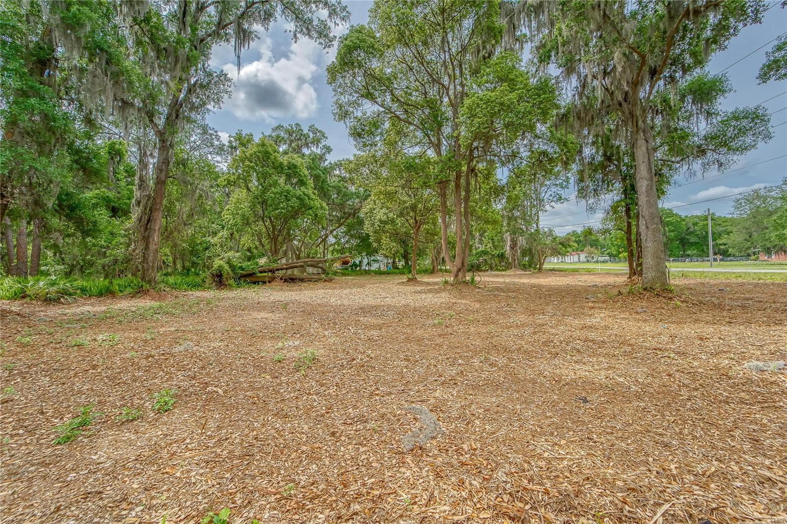 TURKEY CREEK — photo 12