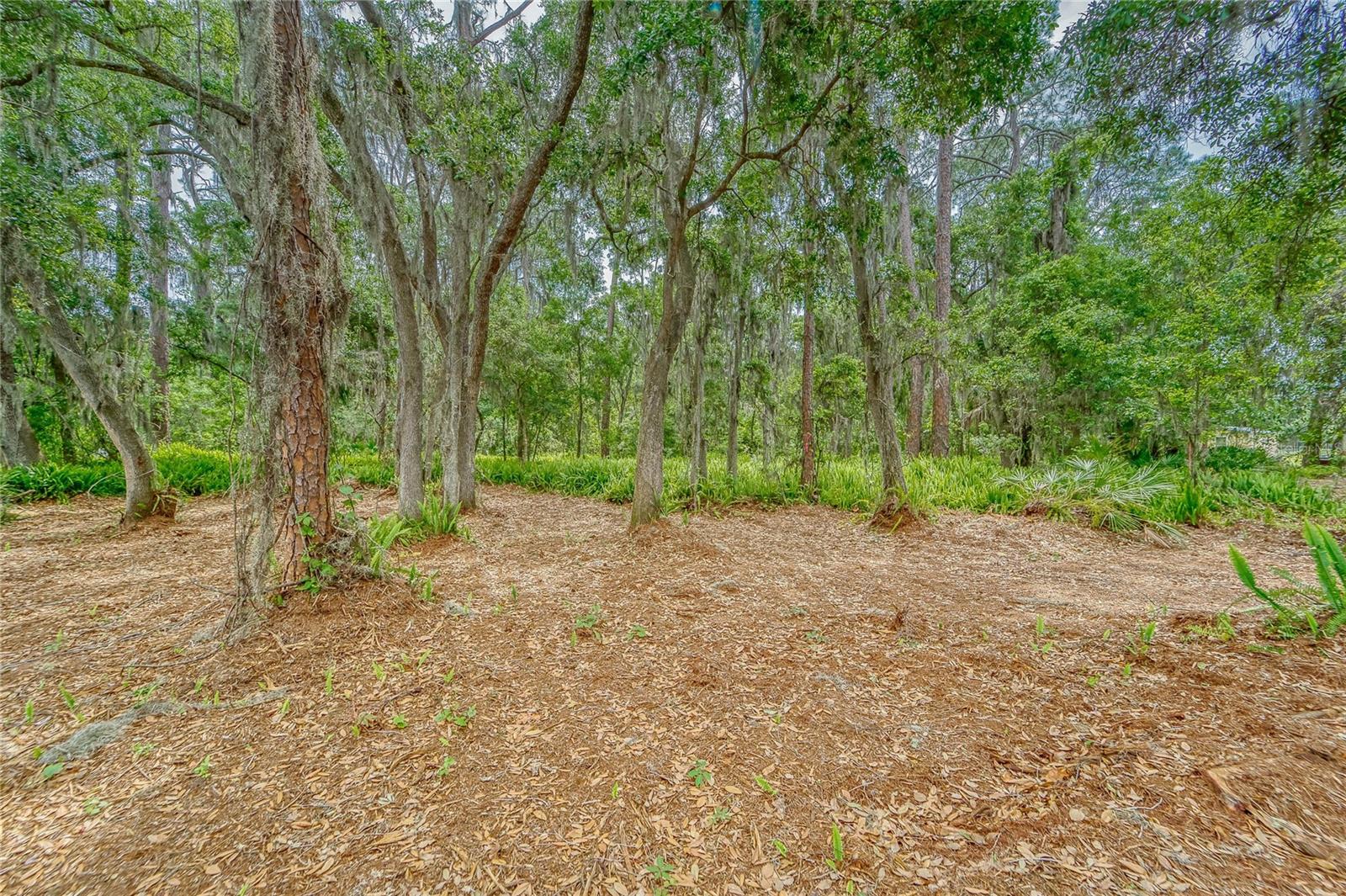 TURKEY CREEK — photo 24