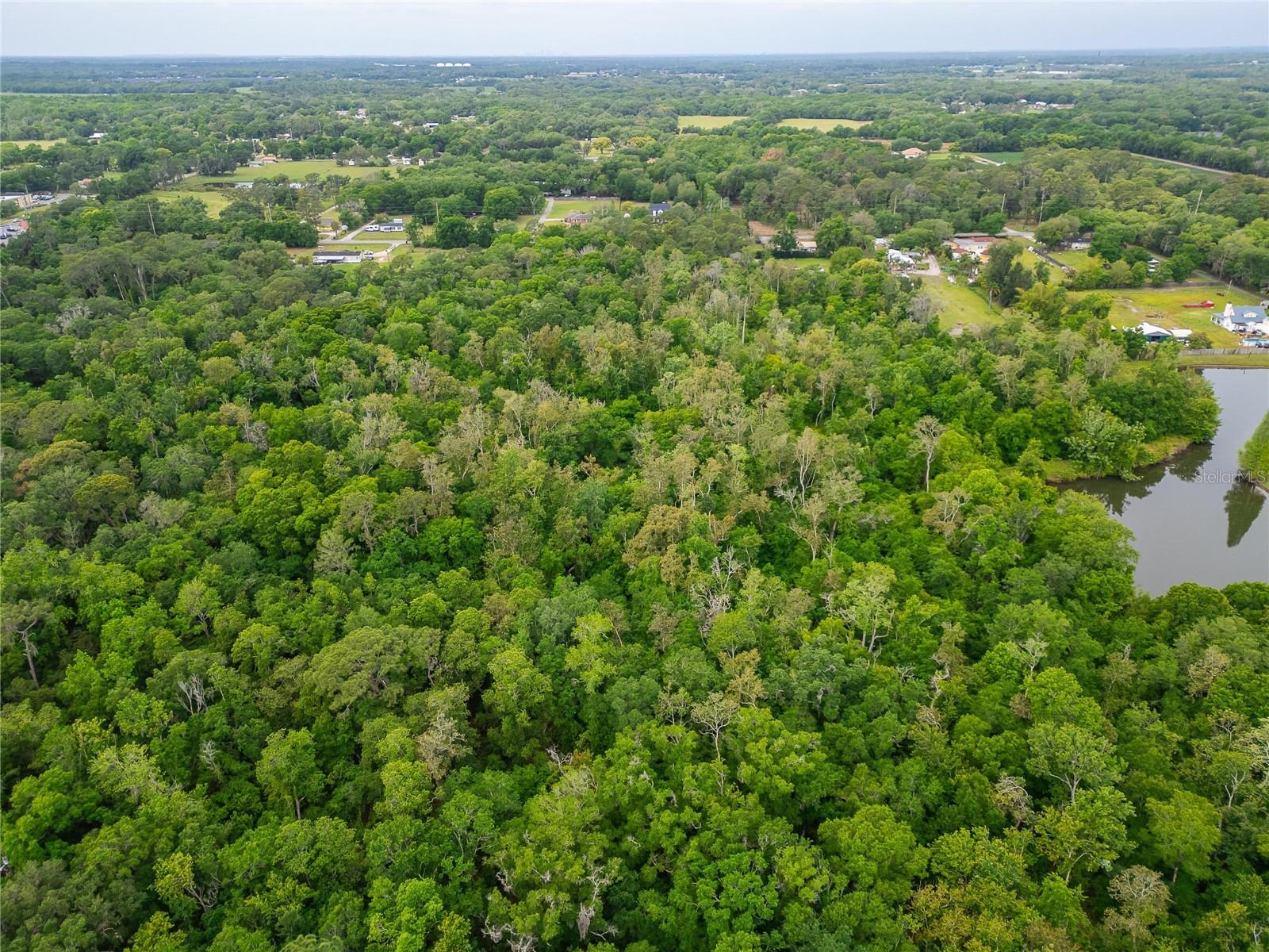 TURKEY CREEK — photo 27