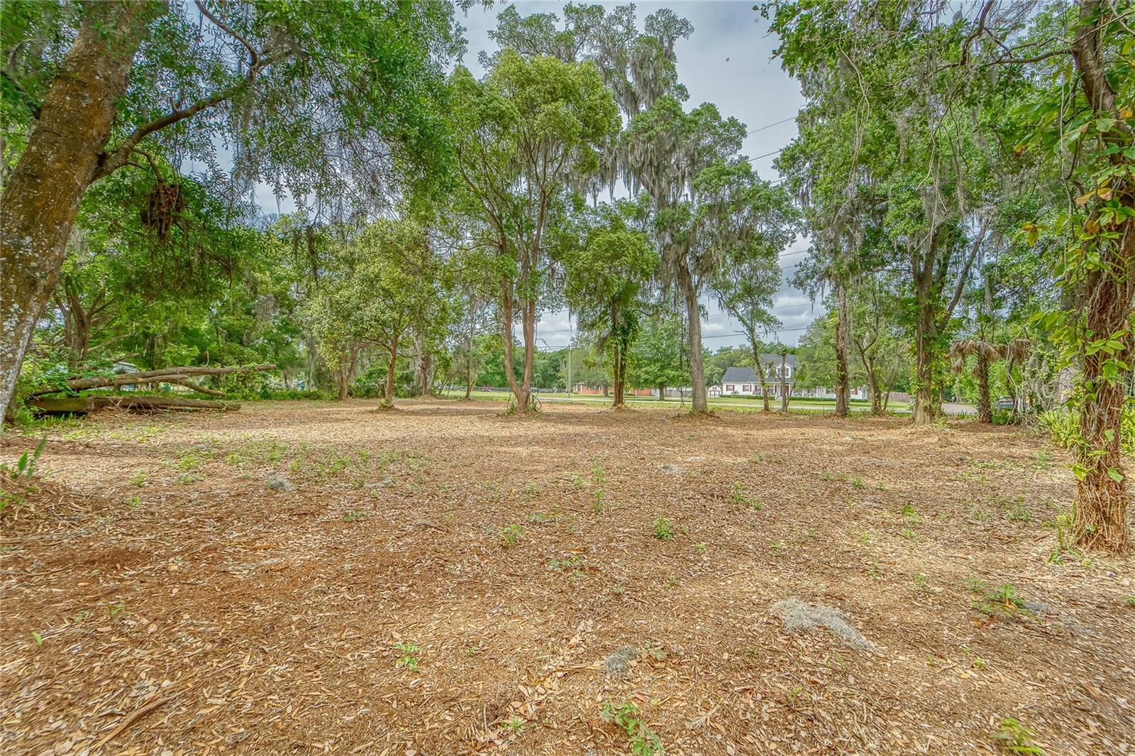 TURKEY CREEK — photo 29