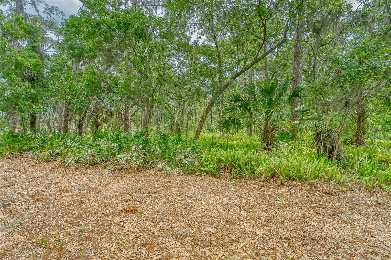 TURKEY CREEK — photo 14