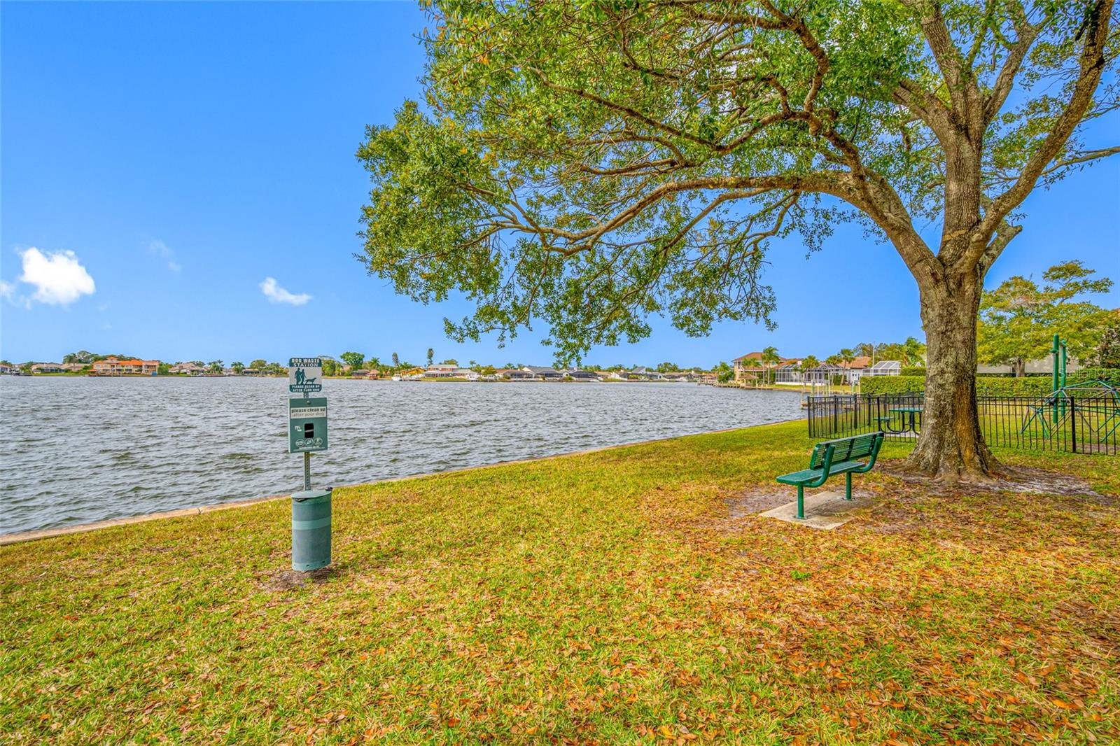 9807 COMPASS POINT WAY — photo 53