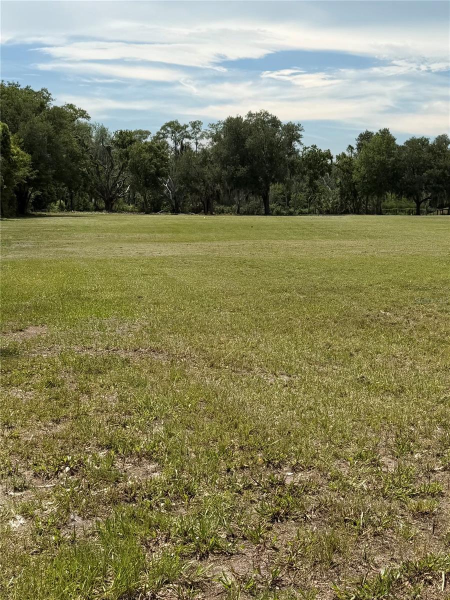 BELLAMY BROTHERS BLVD — photo 4