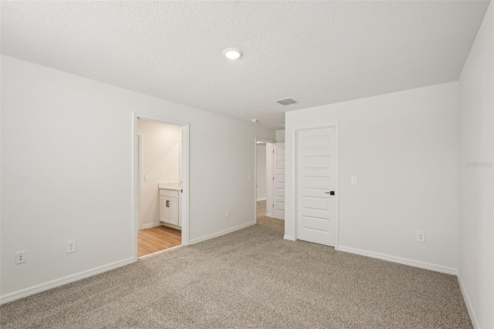 10546 ABUNDANCE GROVE WAY — photo 40