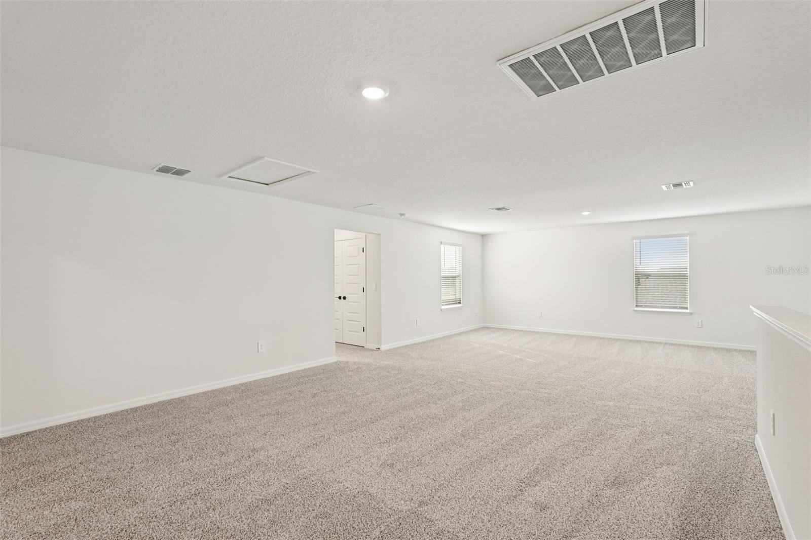 10546 ABUNDANCE GROVE WAY — photo 28