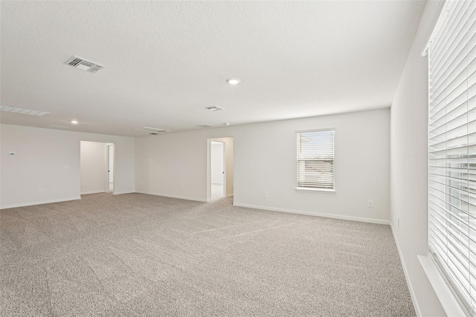 10546 ABUNDANCE GROVE WAY — photo 32