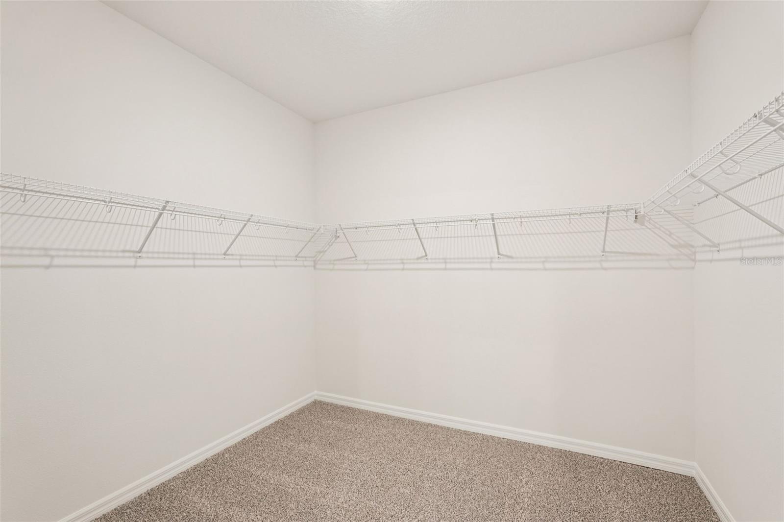 10546 ABUNDANCE GROVE WAY — photo 49