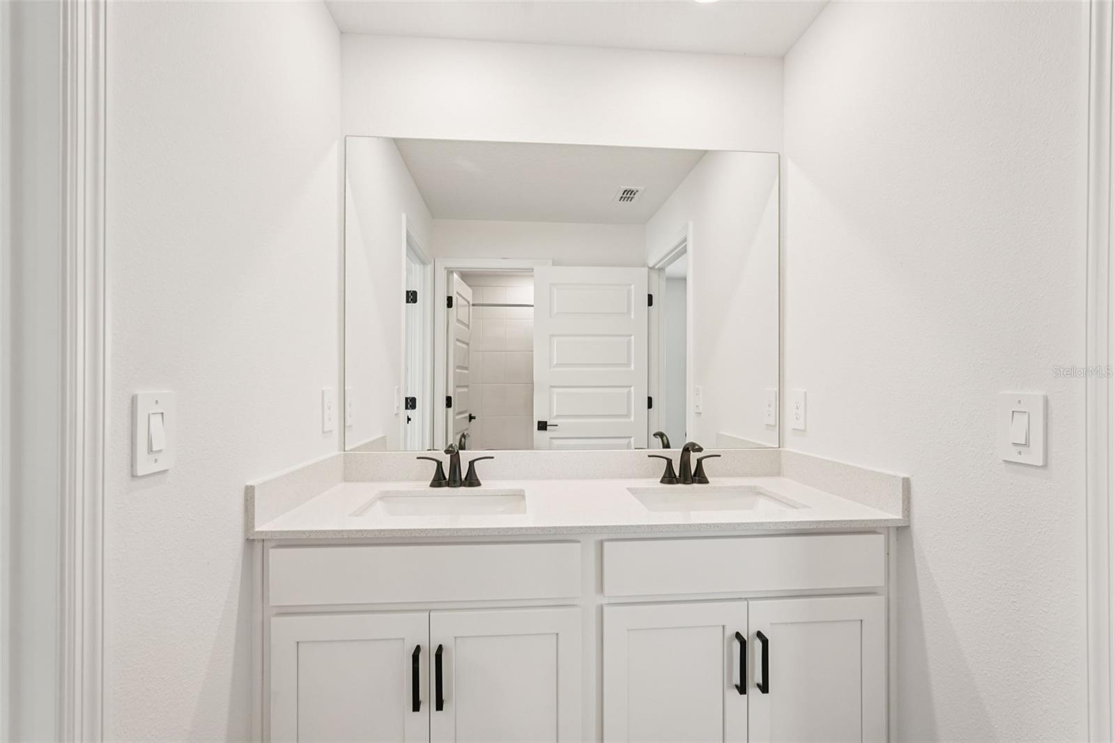 10546 ABUNDANCE GROVE WAY — photo 44