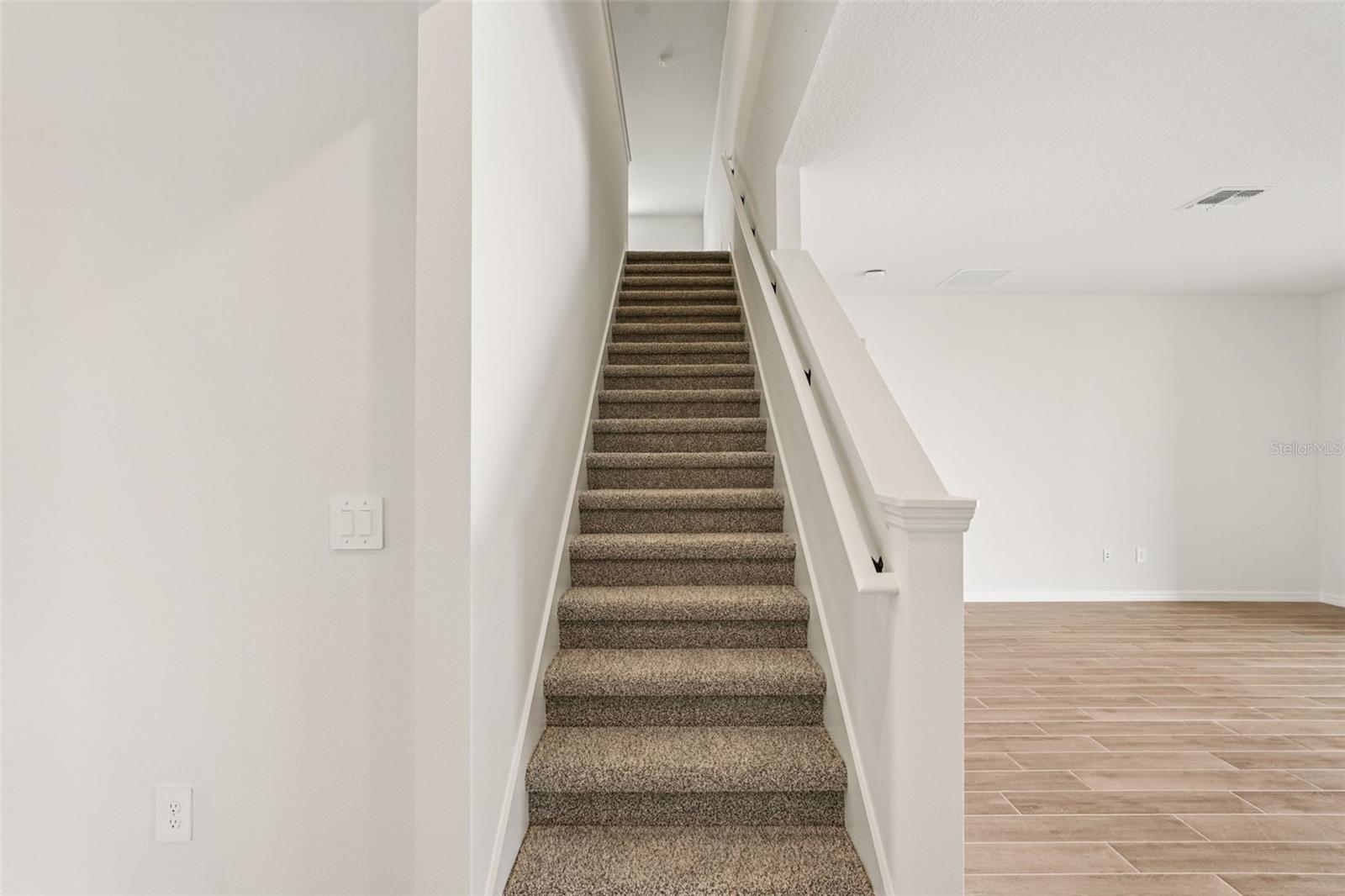 10546 ABUNDANCE GROVE WAY — photo 9