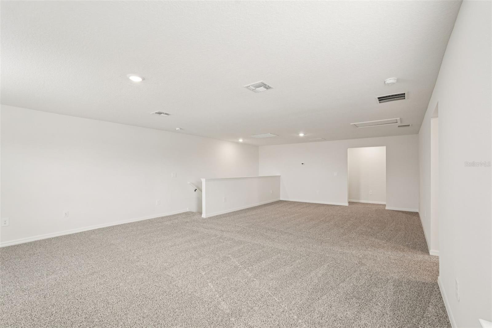 10546 ABUNDANCE GROVE WAY — photo 27