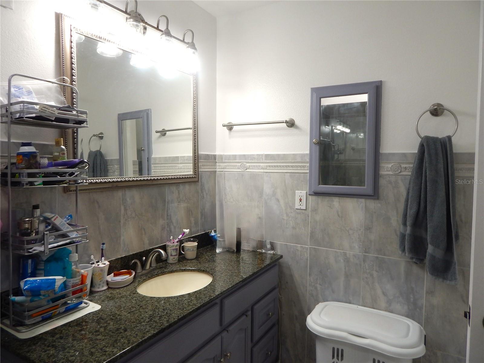 16221 RAMBLING VINE DR W — photo 12