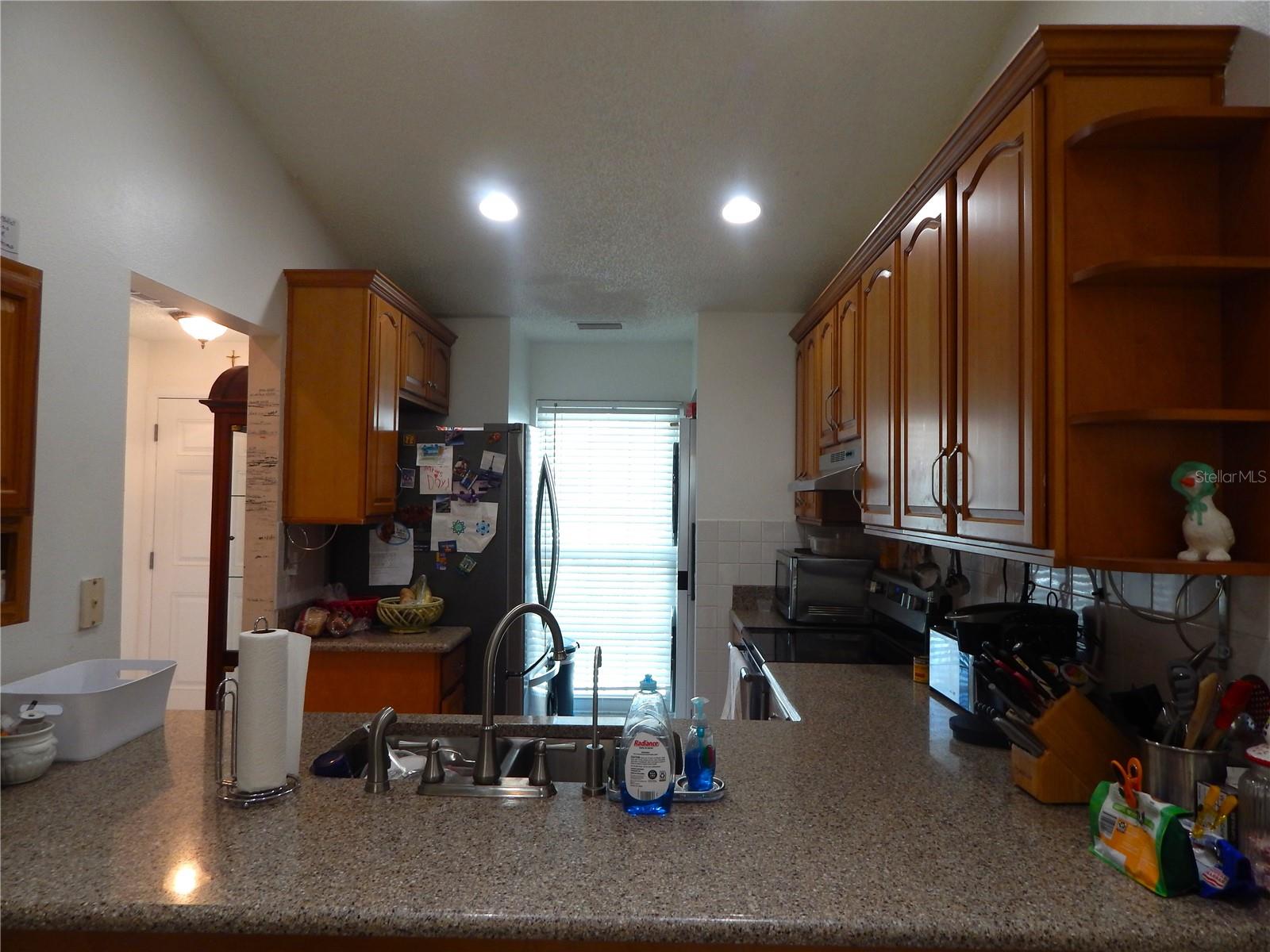 16221 RAMBLING VINE DR W — photo 3