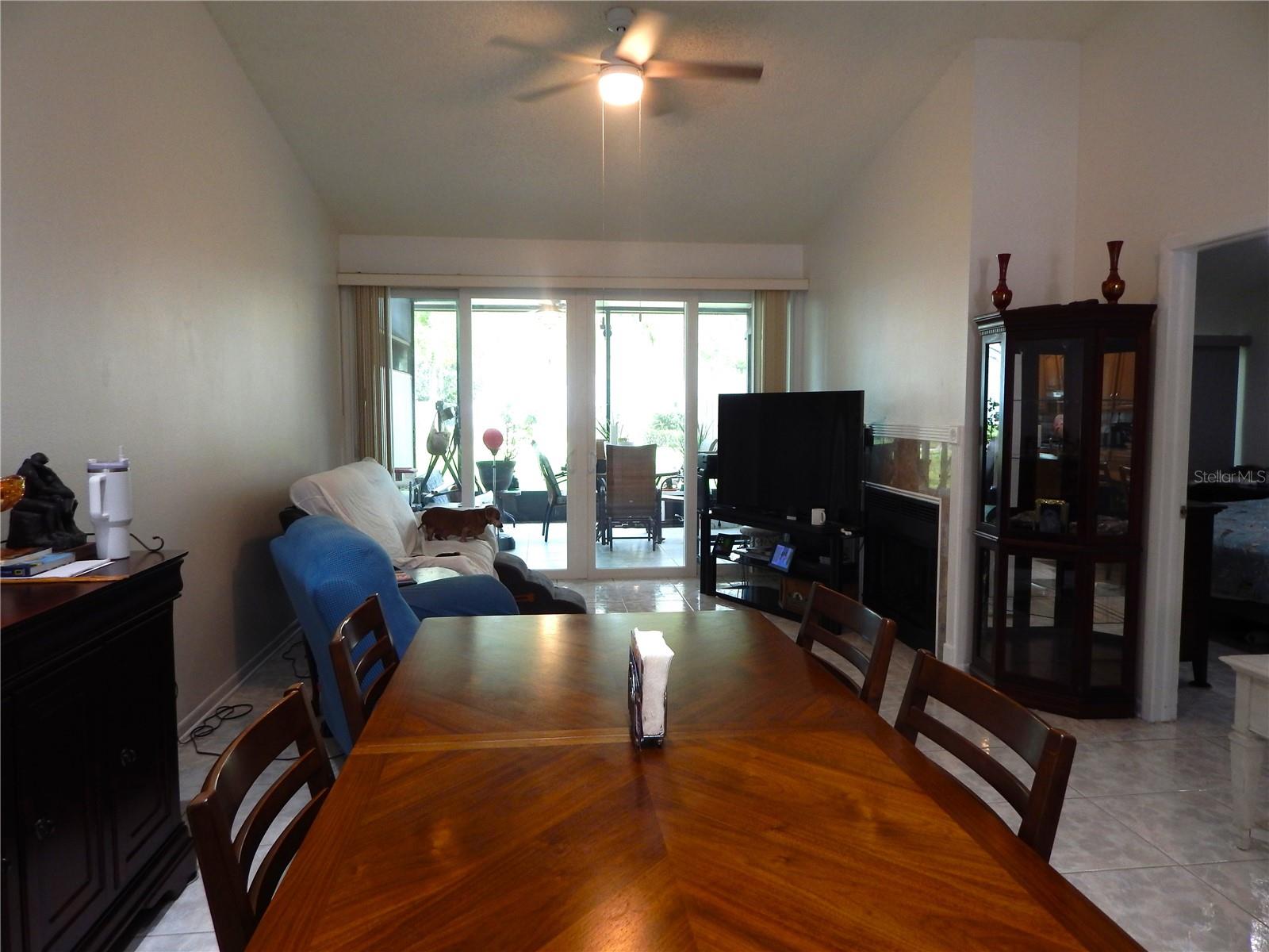 16221 RAMBLING VINE DR W — photo 8