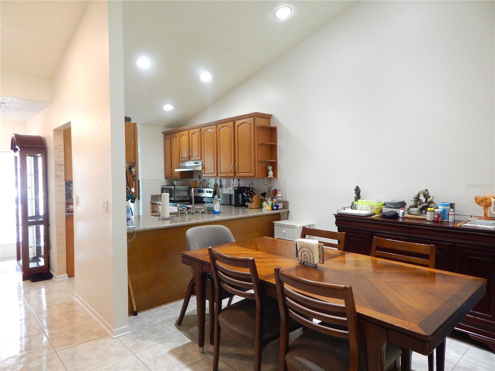 16221 RAMBLING VINE DR W — photo 6