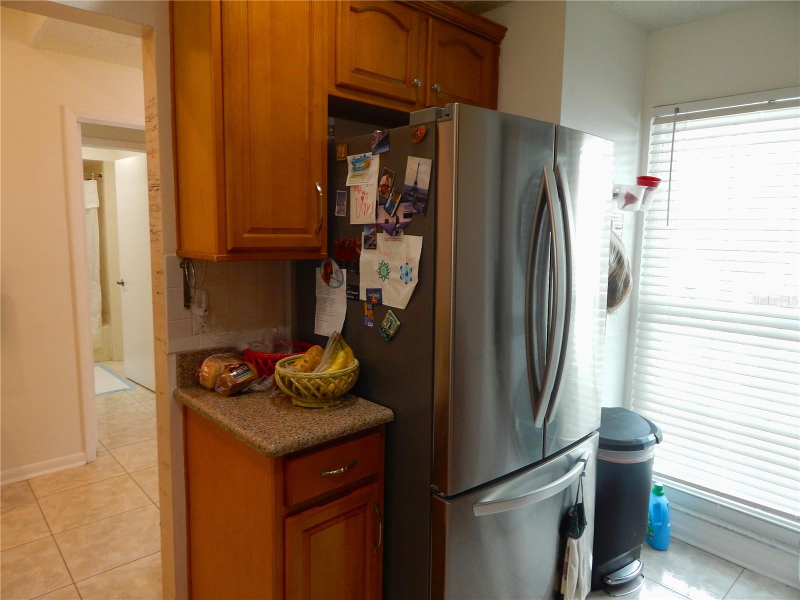 16221 RAMBLING VINE DR W — photo 4