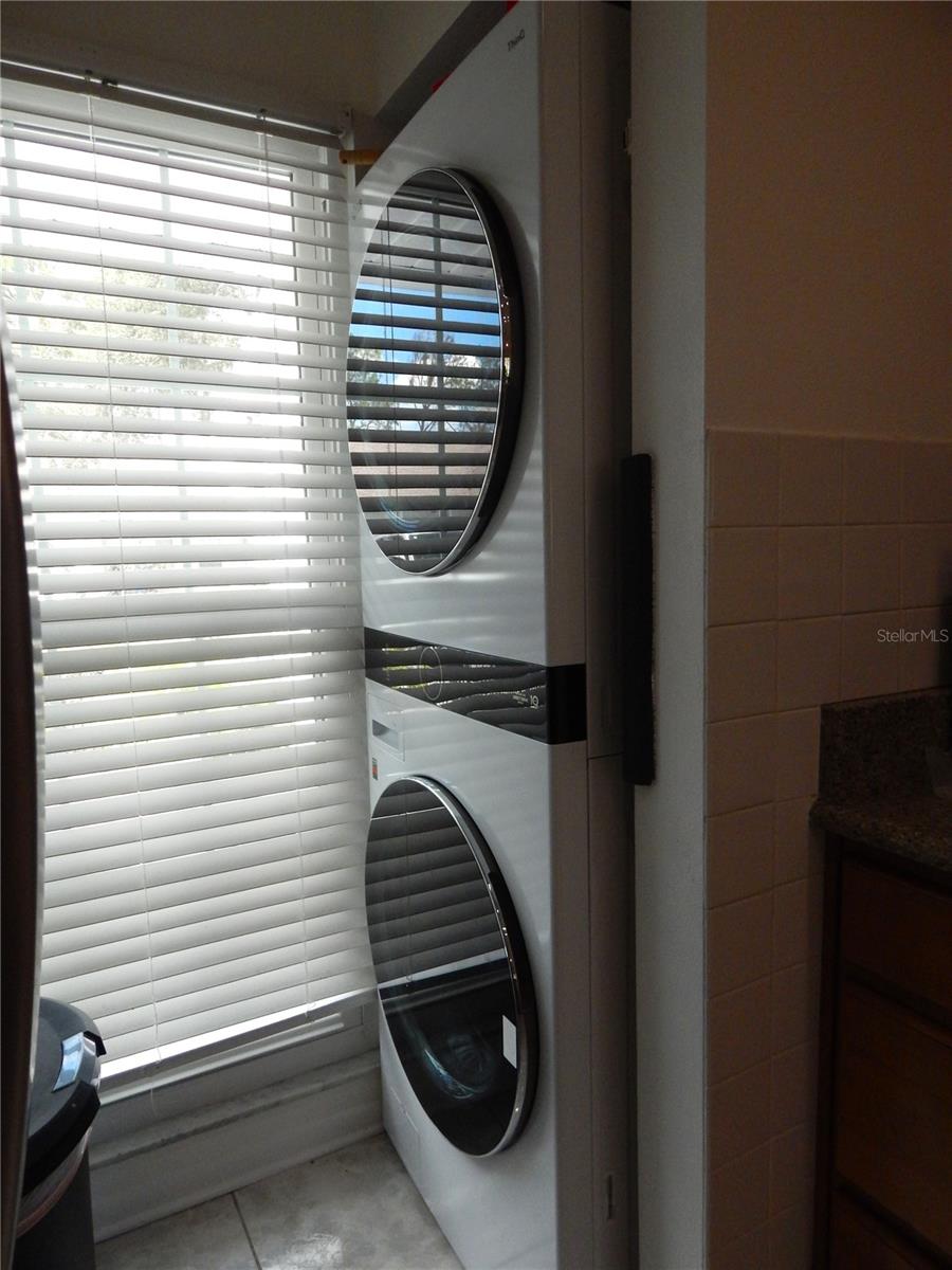 16221 RAMBLING VINE DR W — photo 5