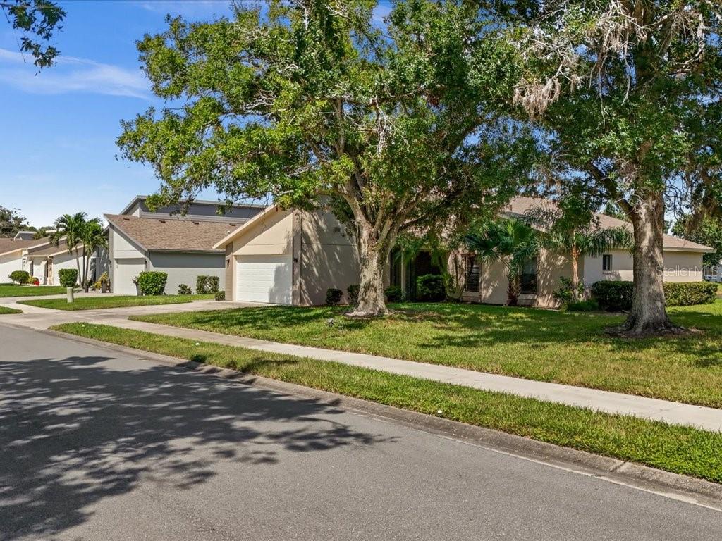 411 CYPRESS FOREST DR — photo 44