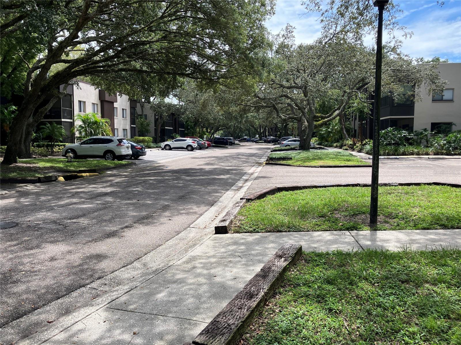 11703 RAINTREE VILLAGE BLVD #B — photo 54