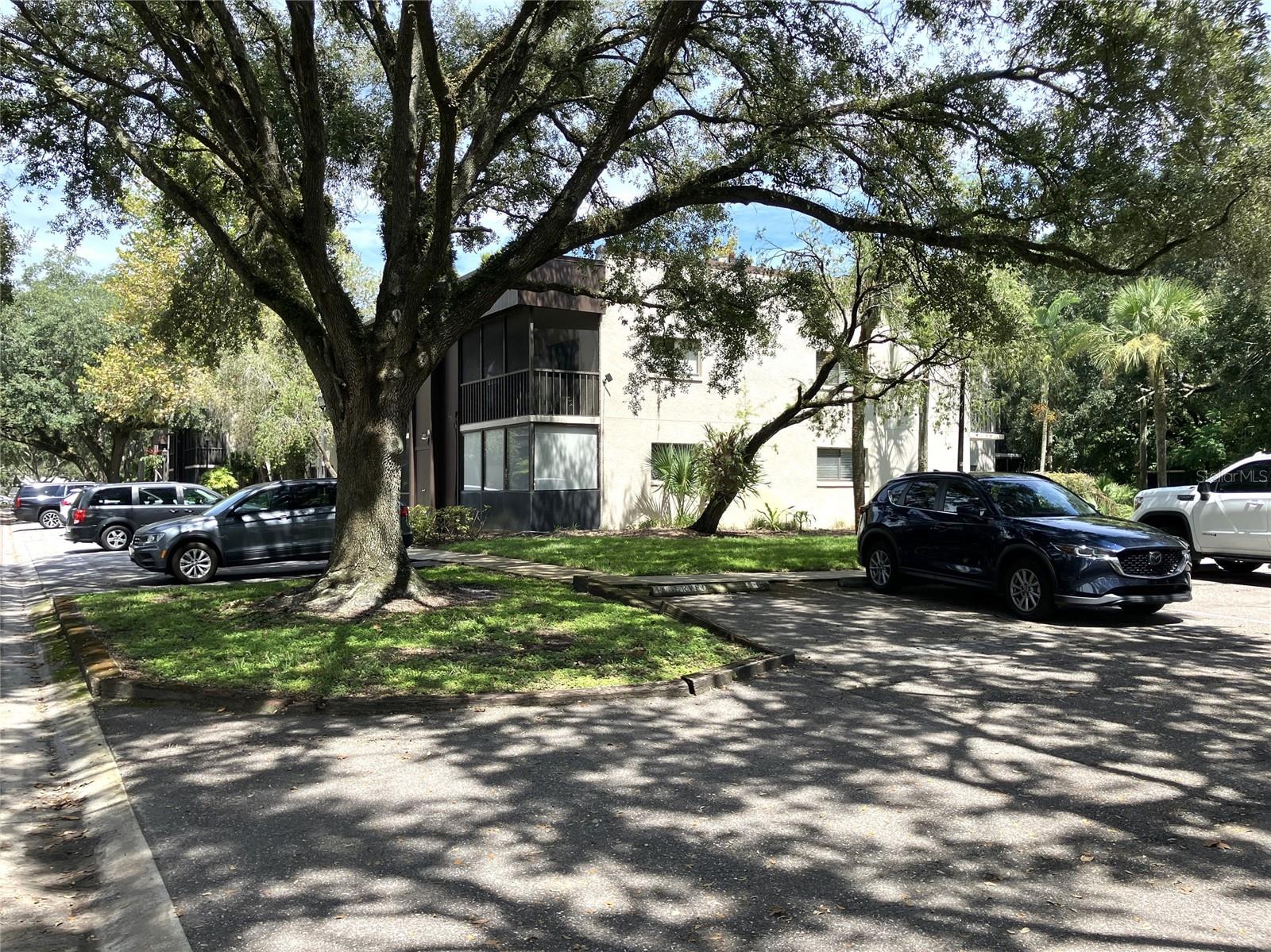 11703 RAINTREE VILLAGE BLVD #B — photo 5