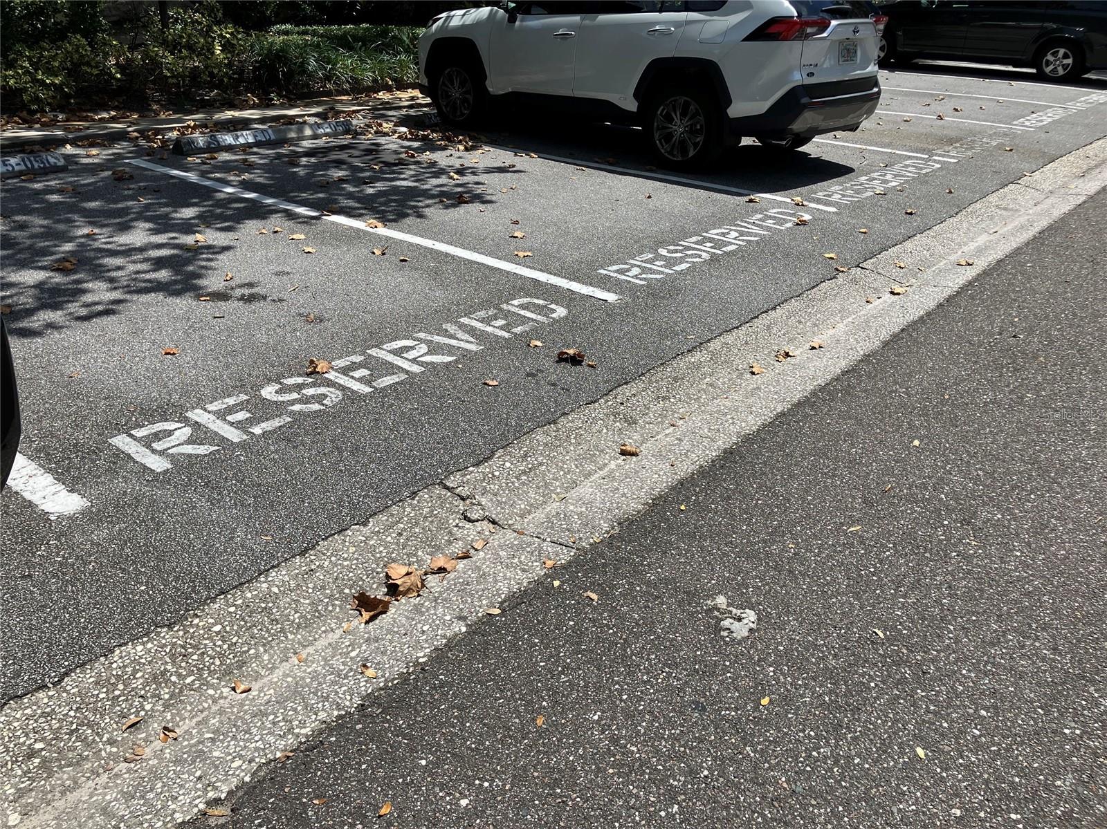 11703 RAINTREE VILLAGE BLVD #B — photo 49