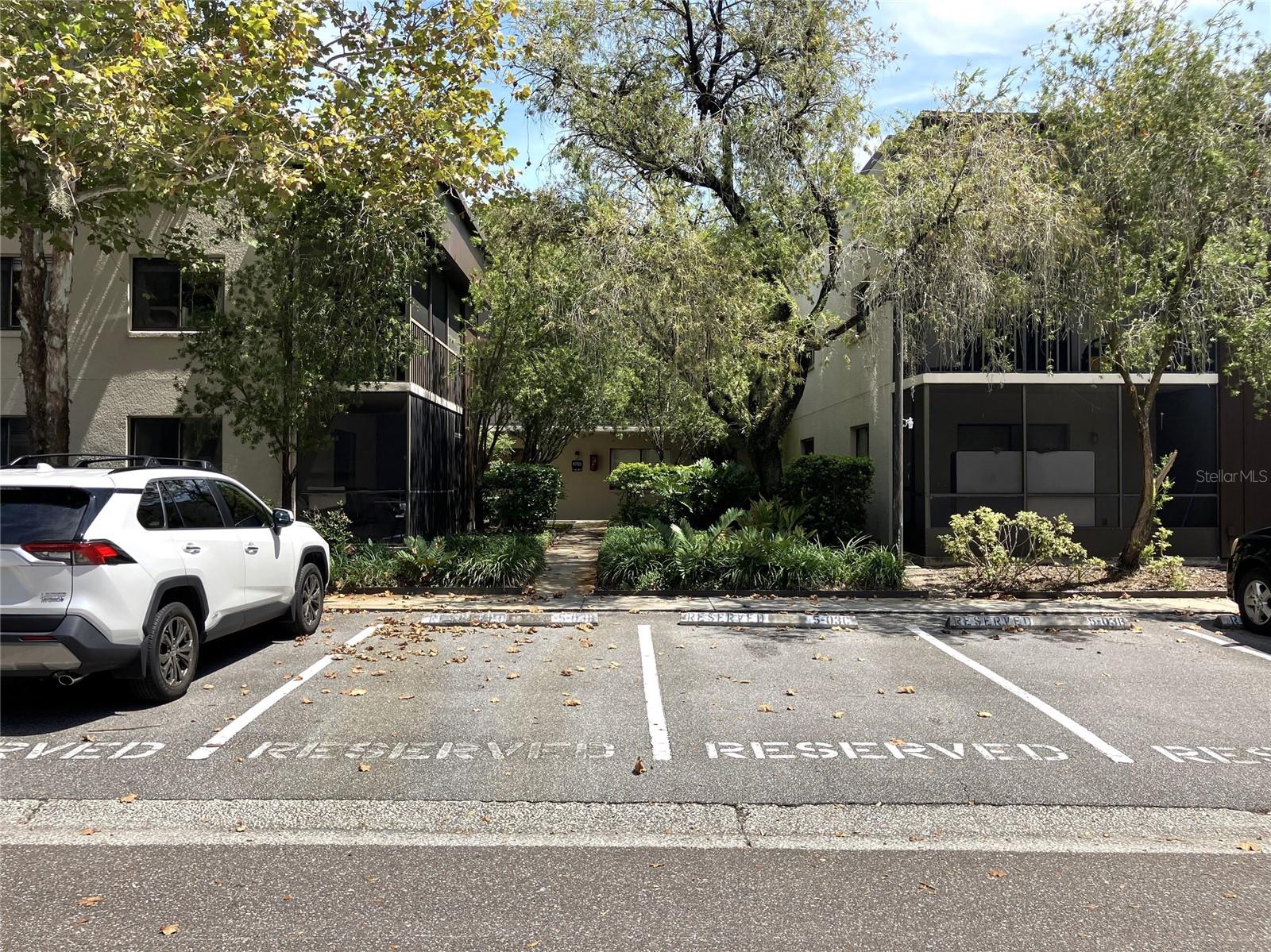 11703 RAINTREE VILLAGE BLVD #B — photo 4
