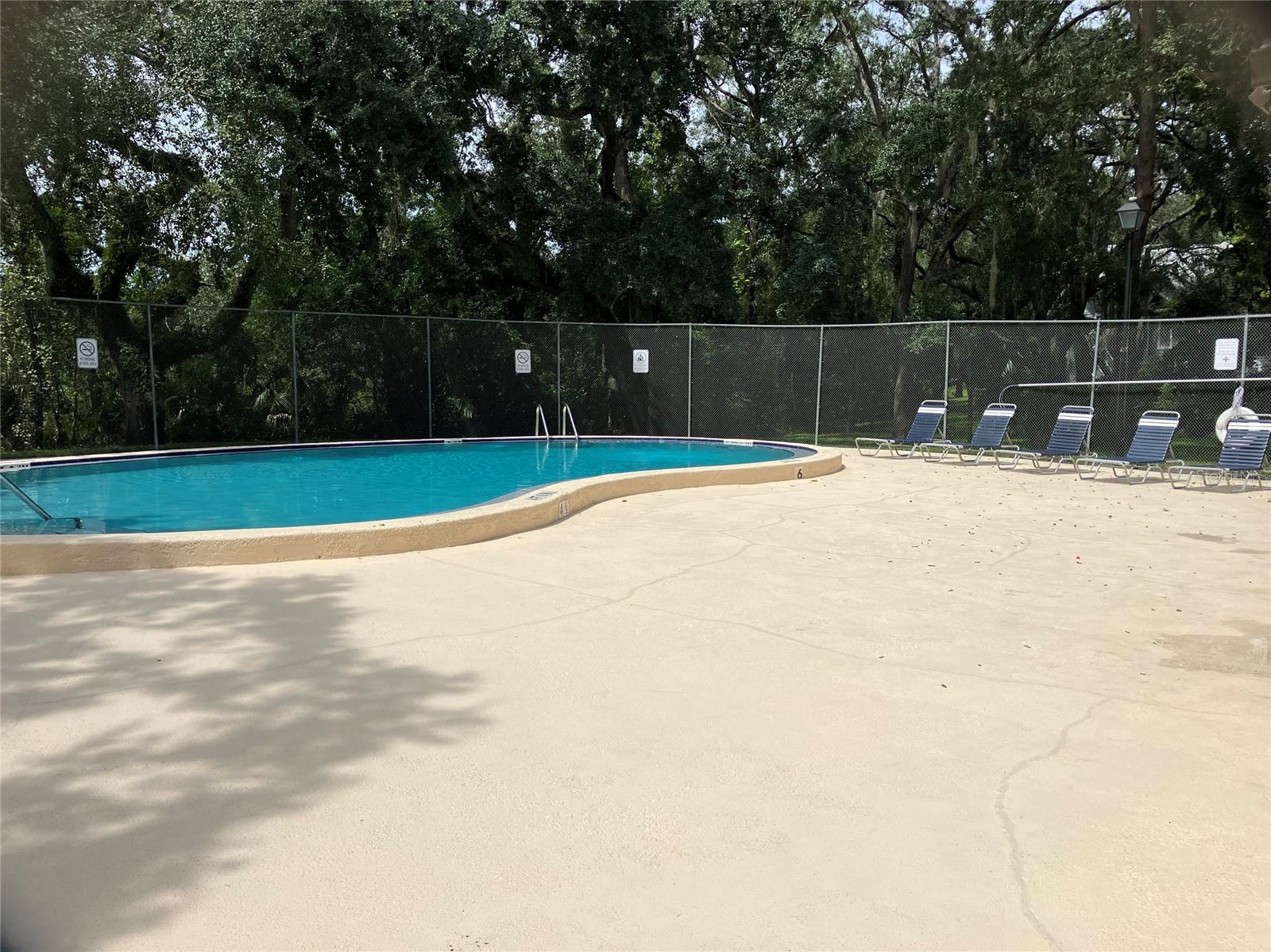 11703 RAINTREE VILLAGE BLVD #B — photo 60