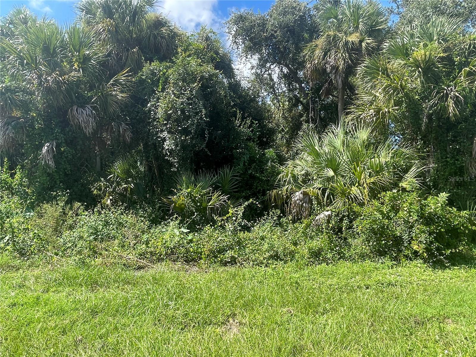SNYDER   (LOT 6 BLOCK 1019) ST — photo 6