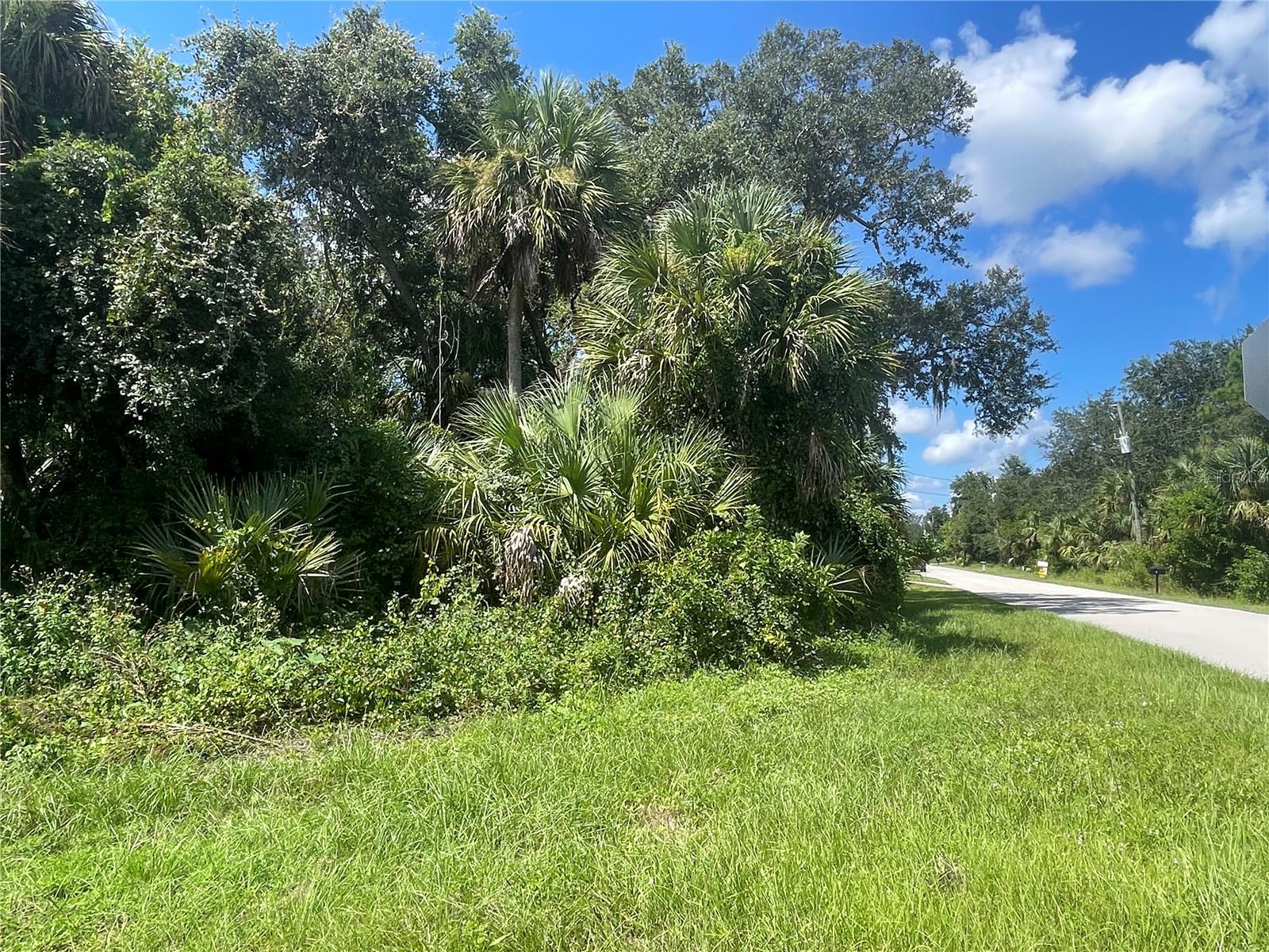 SNYDER   (LOT 6 BLOCK 1019) ST — photo 20