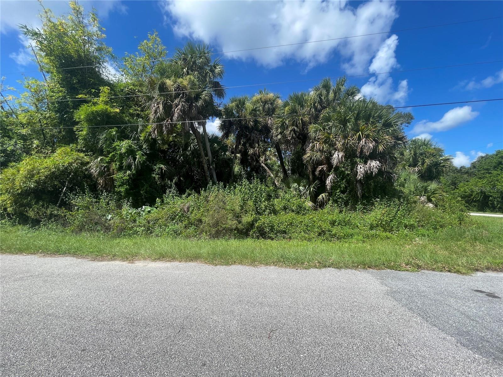 SNYDER   (LOT 6 BLOCK 1019) ST — photo 25