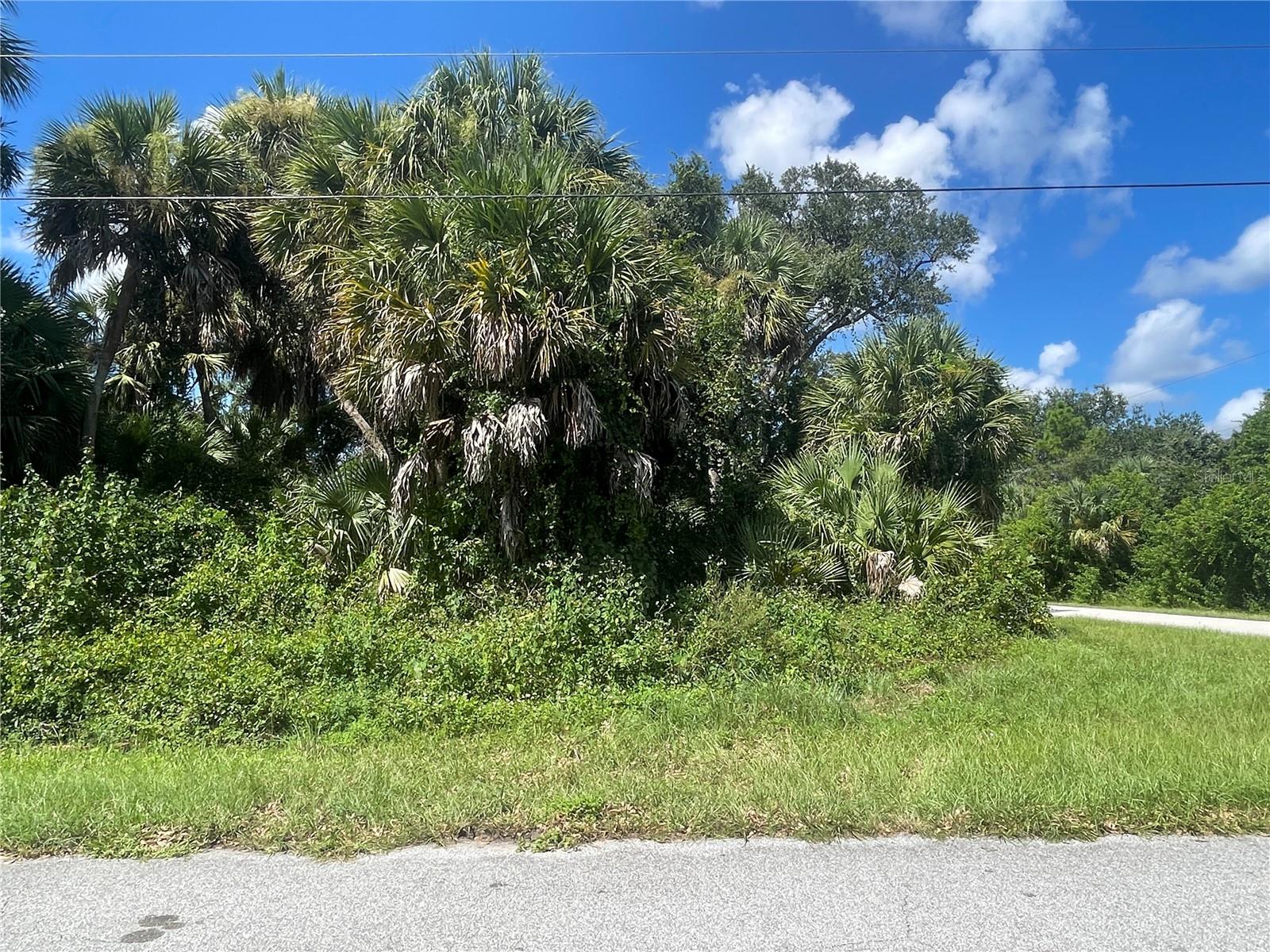 SNYDER   (LOT 6 BLOCK 1019) ST — photo 23