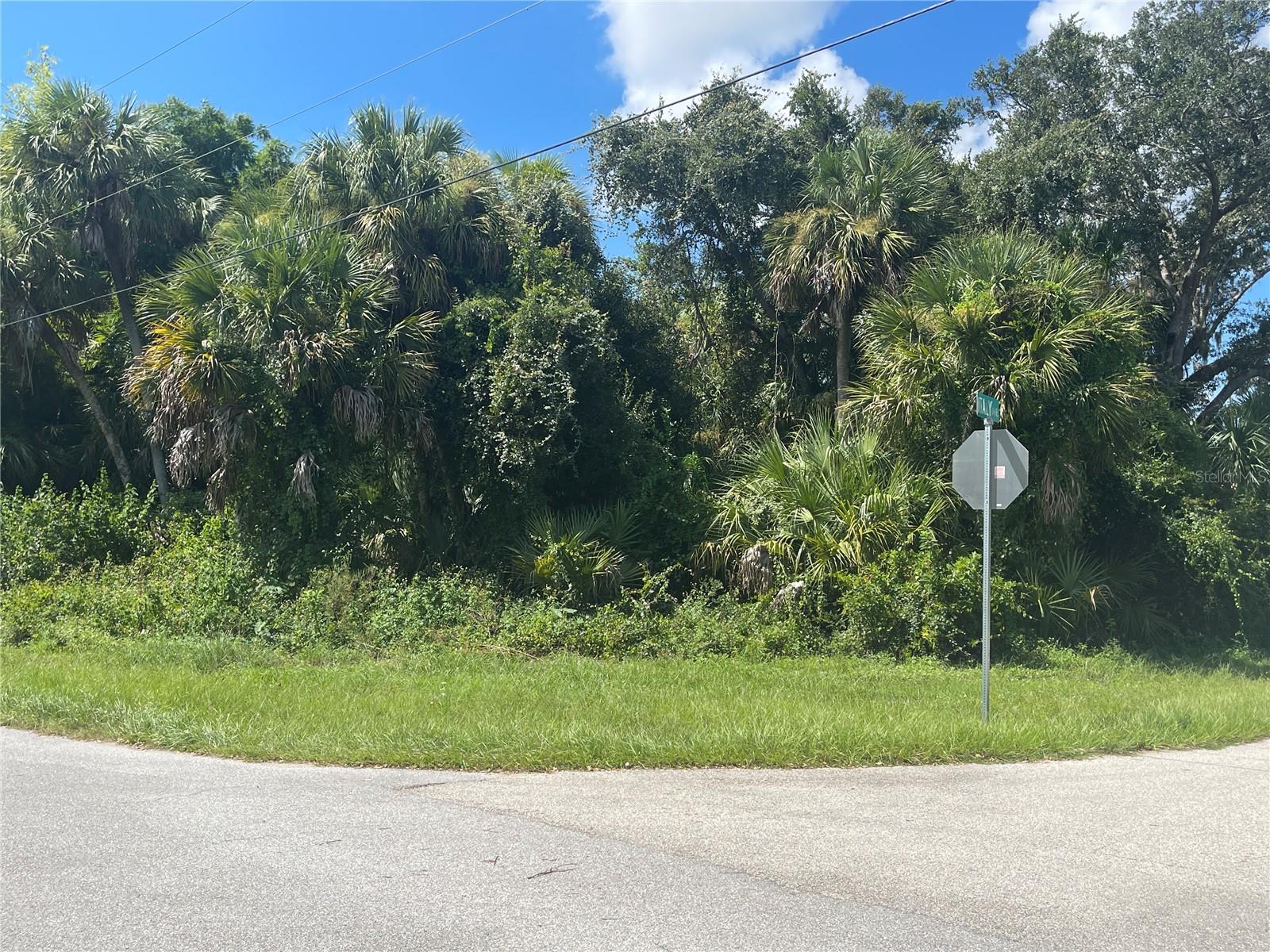 SNYDER   (LOT 6 BLOCK 1019) ST — photo 32