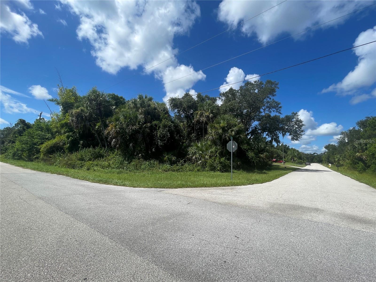 SNYDER   (LOT 6 BLOCK 1019) ST — photo 30