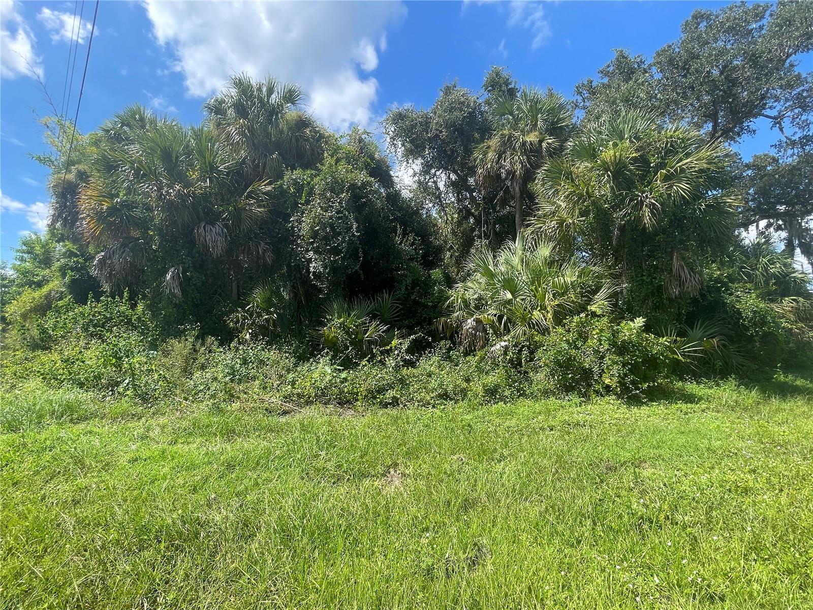 SNYDER   (LOT 6 BLOCK 1019) ST — photo 19