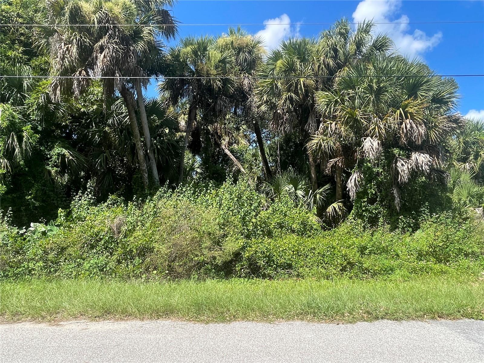 SNYDER   (LOT 6 BLOCK 1019) ST — photo 22