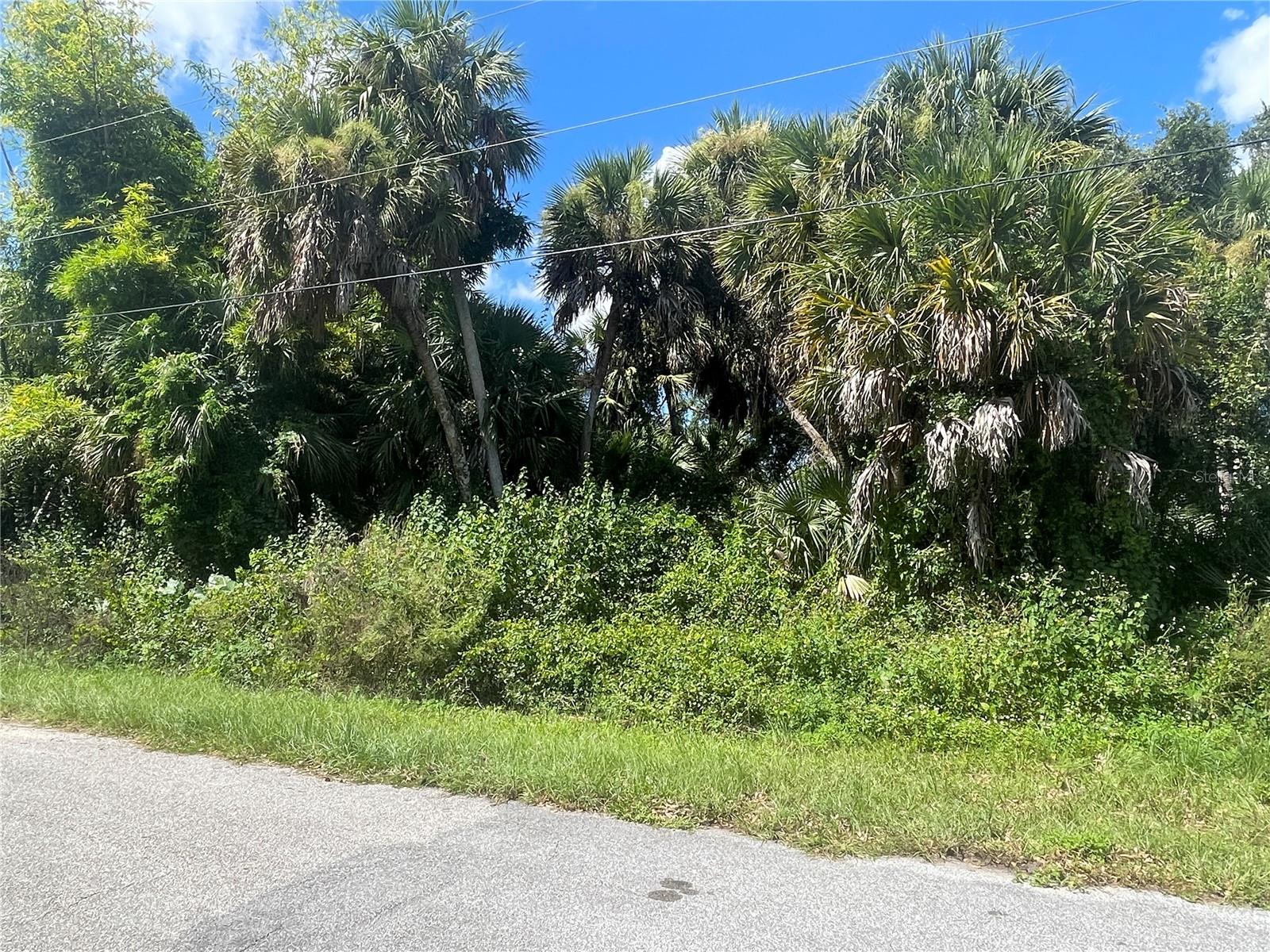 SNYDER   (LOT 6 BLOCK 1019) ST — photo 24