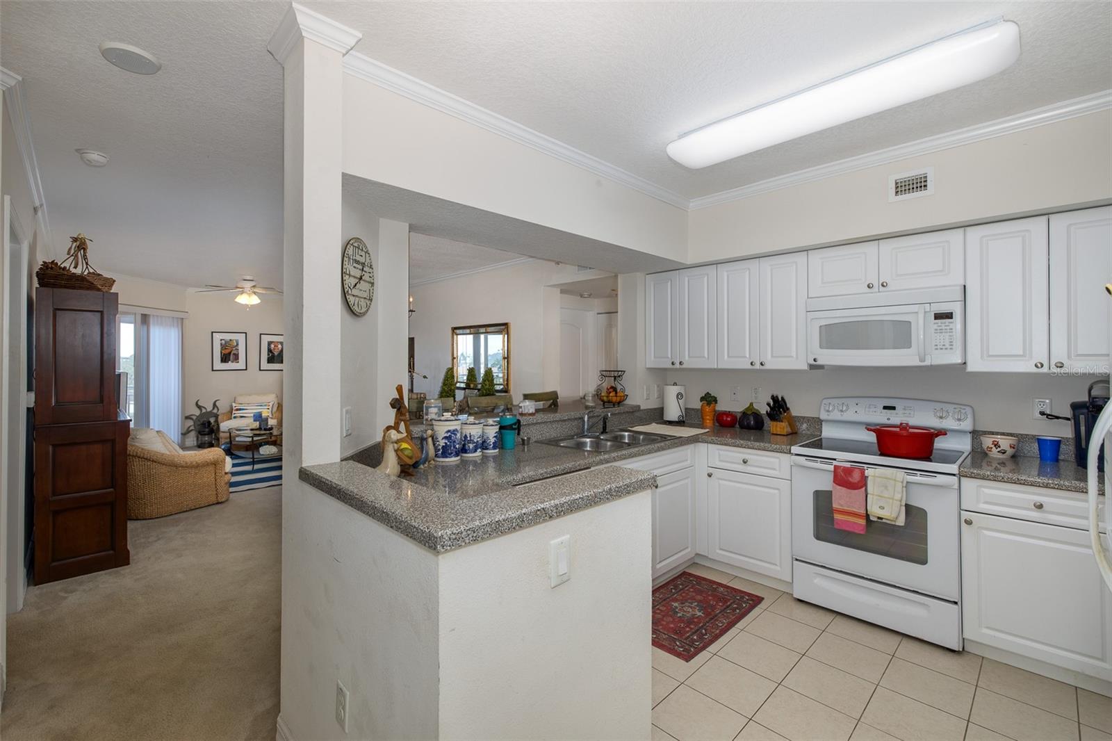 4516 SEAGULL DR #413 — photo 8