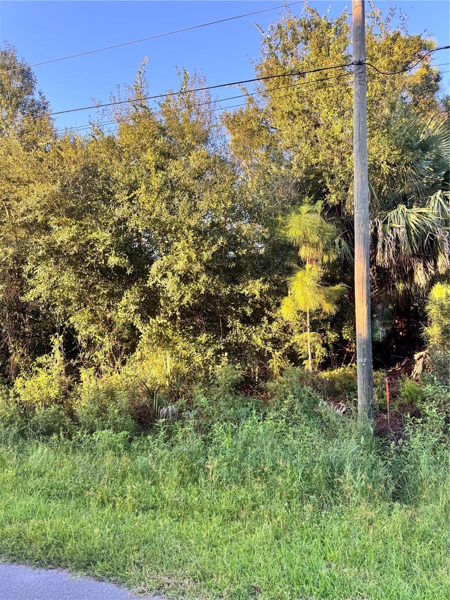 COLORADE AVE — photo 3